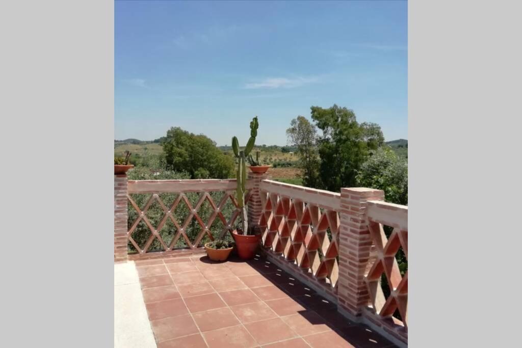 Casa Rural La Vega Cazalla de la Sierra Buitenkant foto