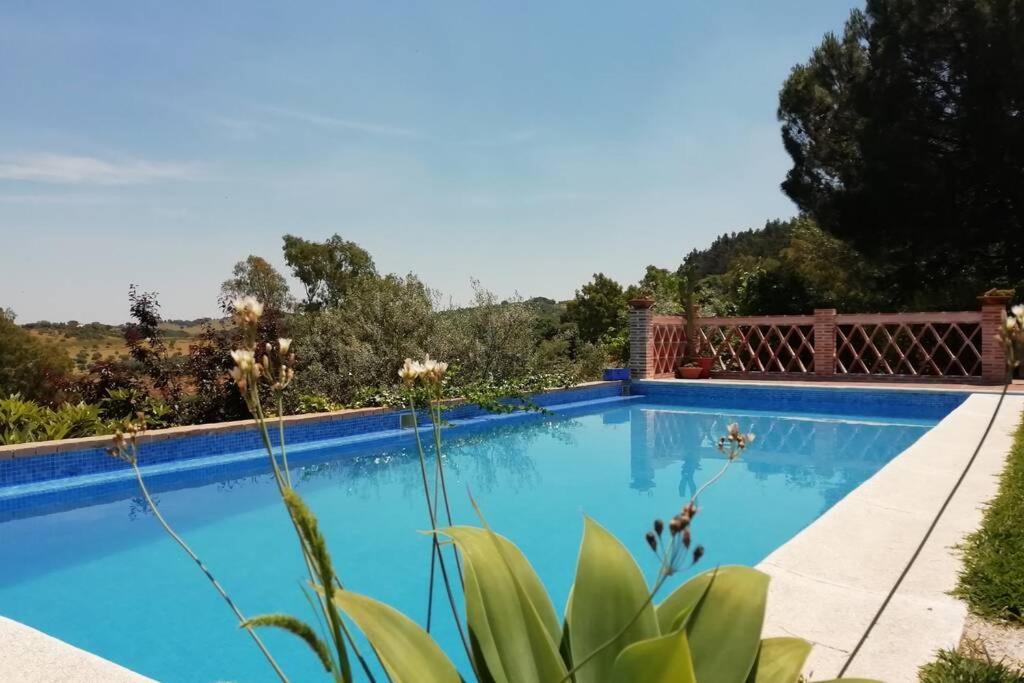 Casa Rural La Vega Cazalla de la Sierra Buitenkant foto